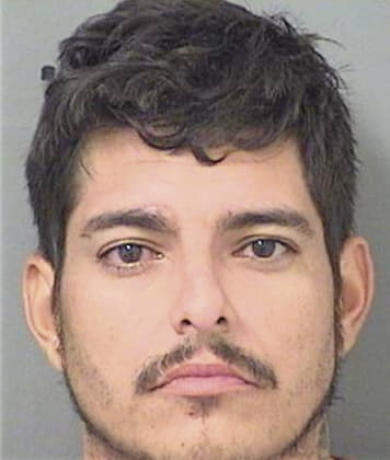 Roberto Carpioramos, - Palm Beach County, FL 